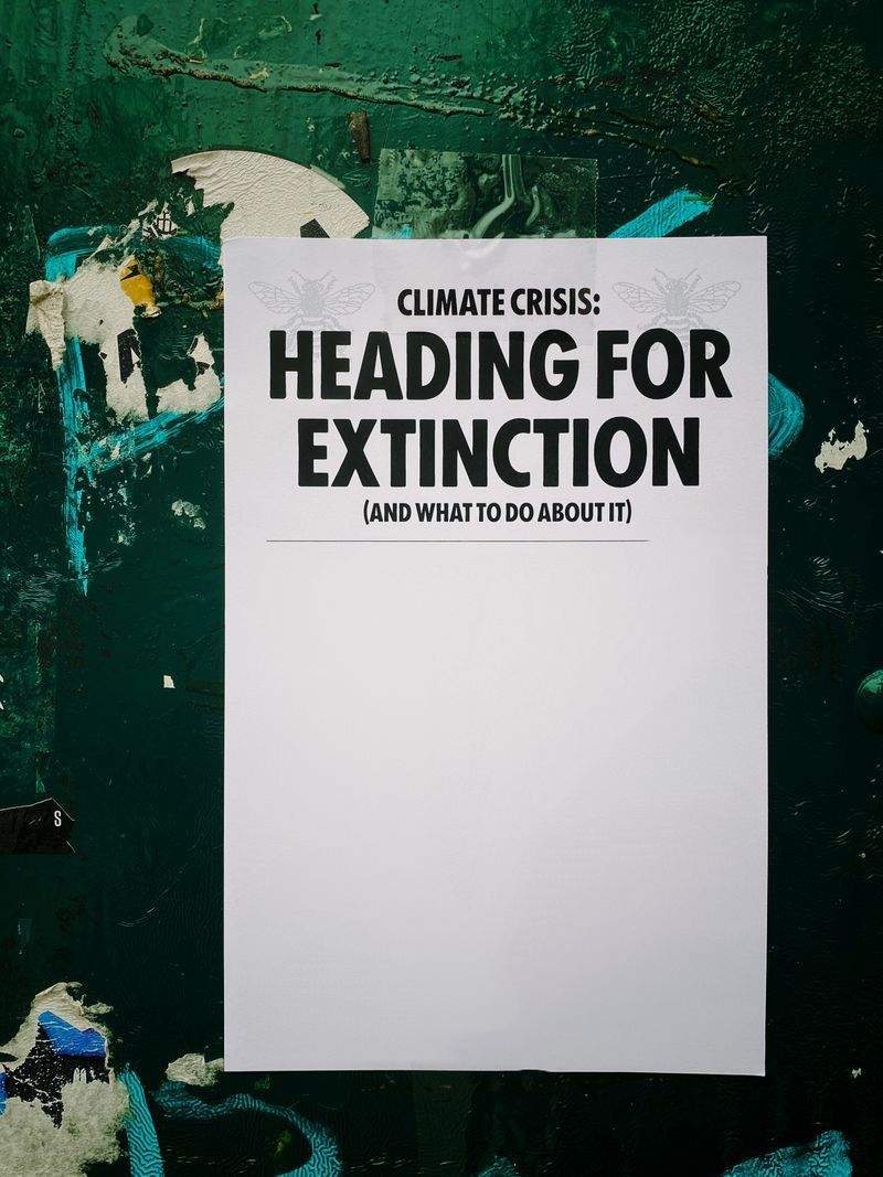 Eventi Eccellenti - Image 2